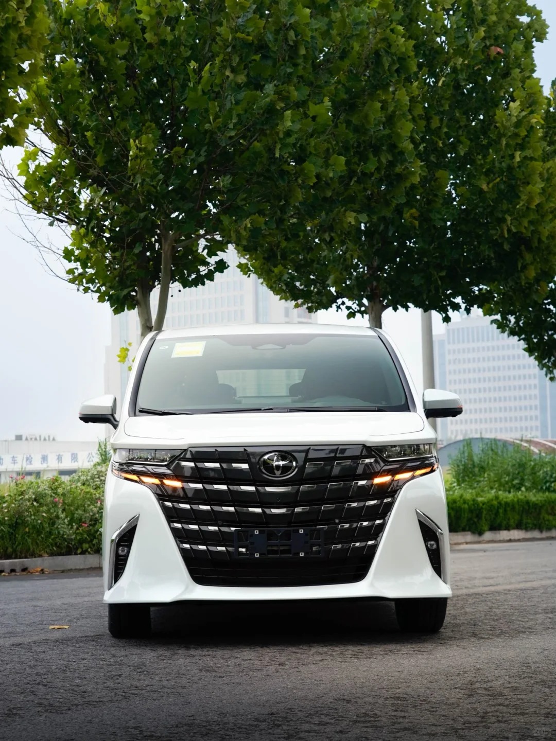 Alphard Luxury Van 2