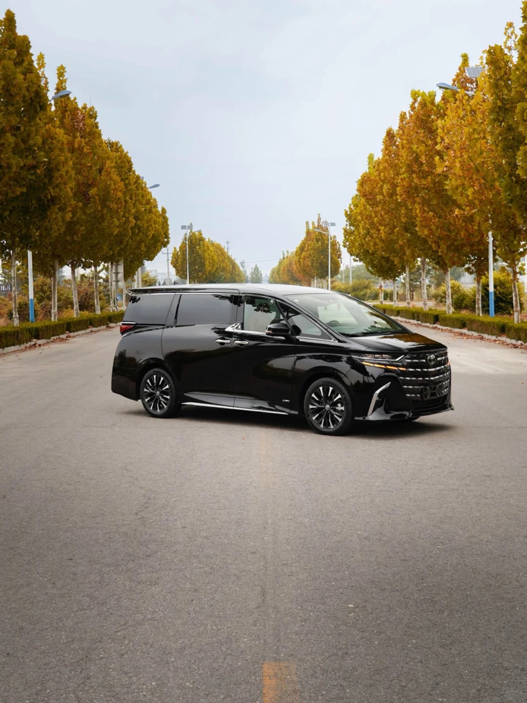 Alphard Luxury Van 3