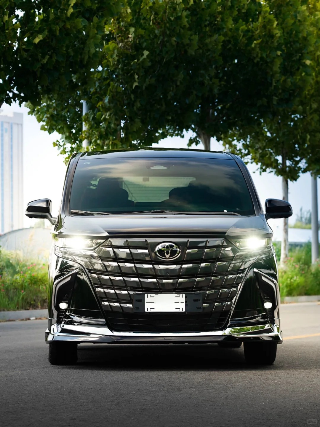 Alphard Luxury Van 4