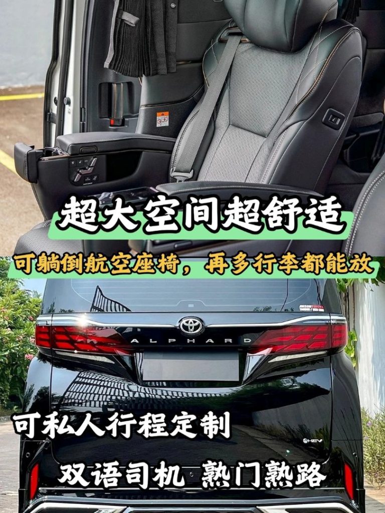 多款車型隨心選