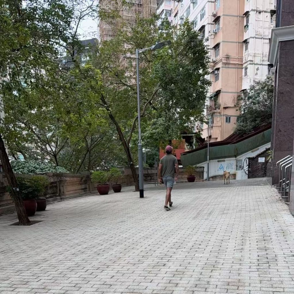 一次圣诞清晨的准时交付：Zerrand 香港代购真实案例故事