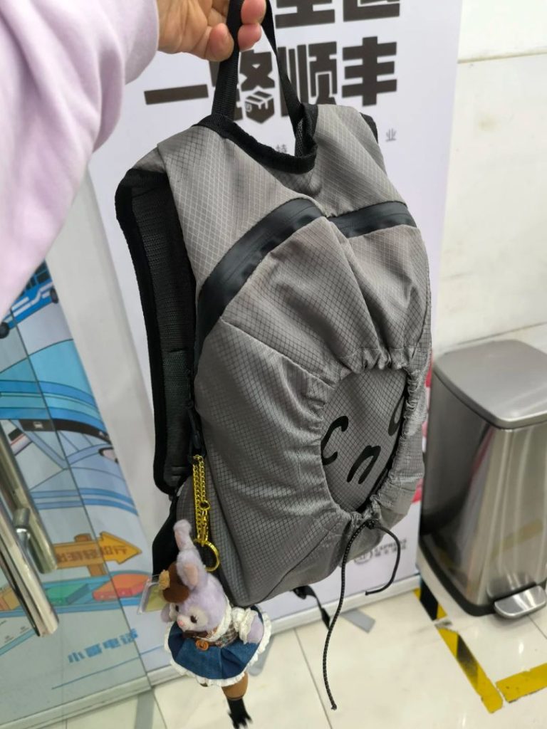 香港西九龙高铁站失物代领:亲历“秘密通道”取回遗失背包