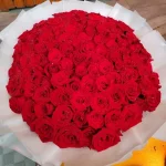 朱朱深港跨境跑腿