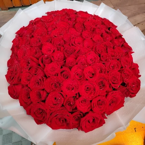 朱朱深港跨境跑腿