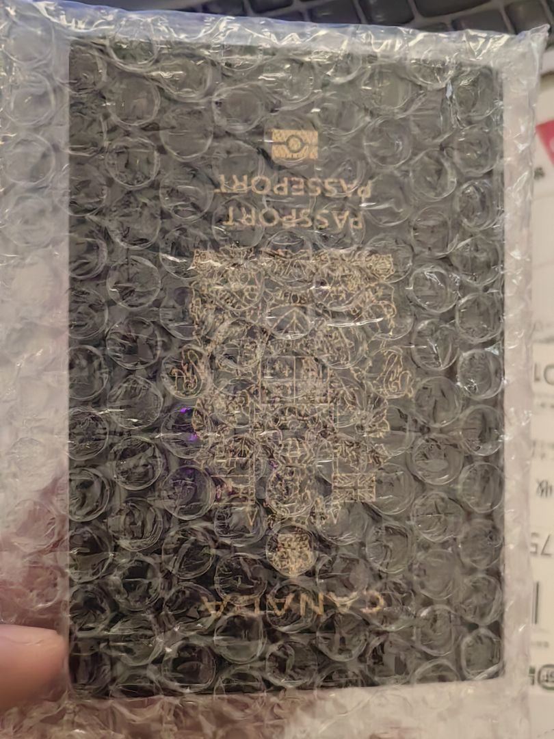 丢失在香港机场的护照