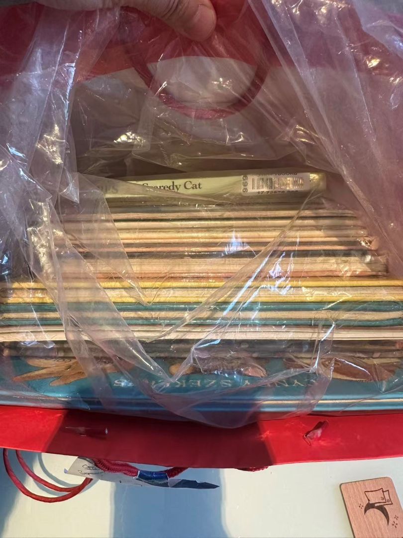 顺丰拒收的15本童书,我们是怎么“人肉”背回深圳寄出的?