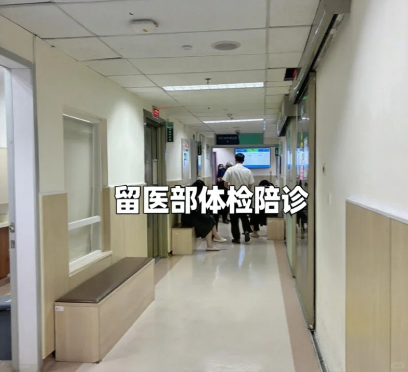 在深圳留医部陪诊，我被那个晕针的小姐姐治愈了