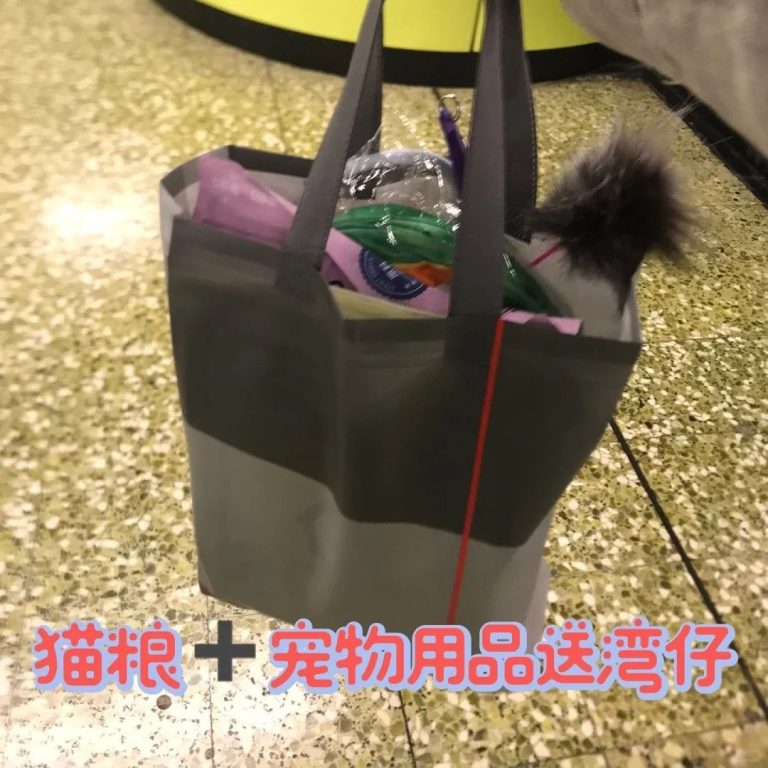 深圳跑腿送寵物用品到灣仔：給毛孩的跨城投餵實錄