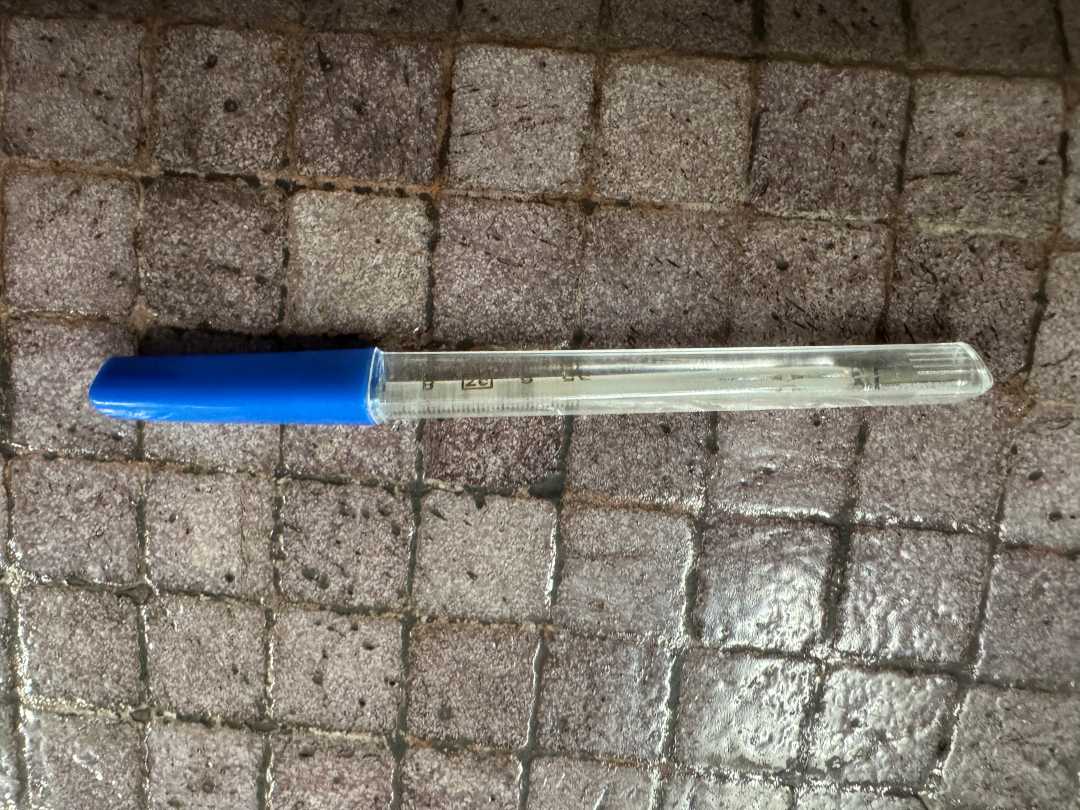 Urgent Medicine Delivery from Shenzhen to Hong Kong: A Late-Night Mission