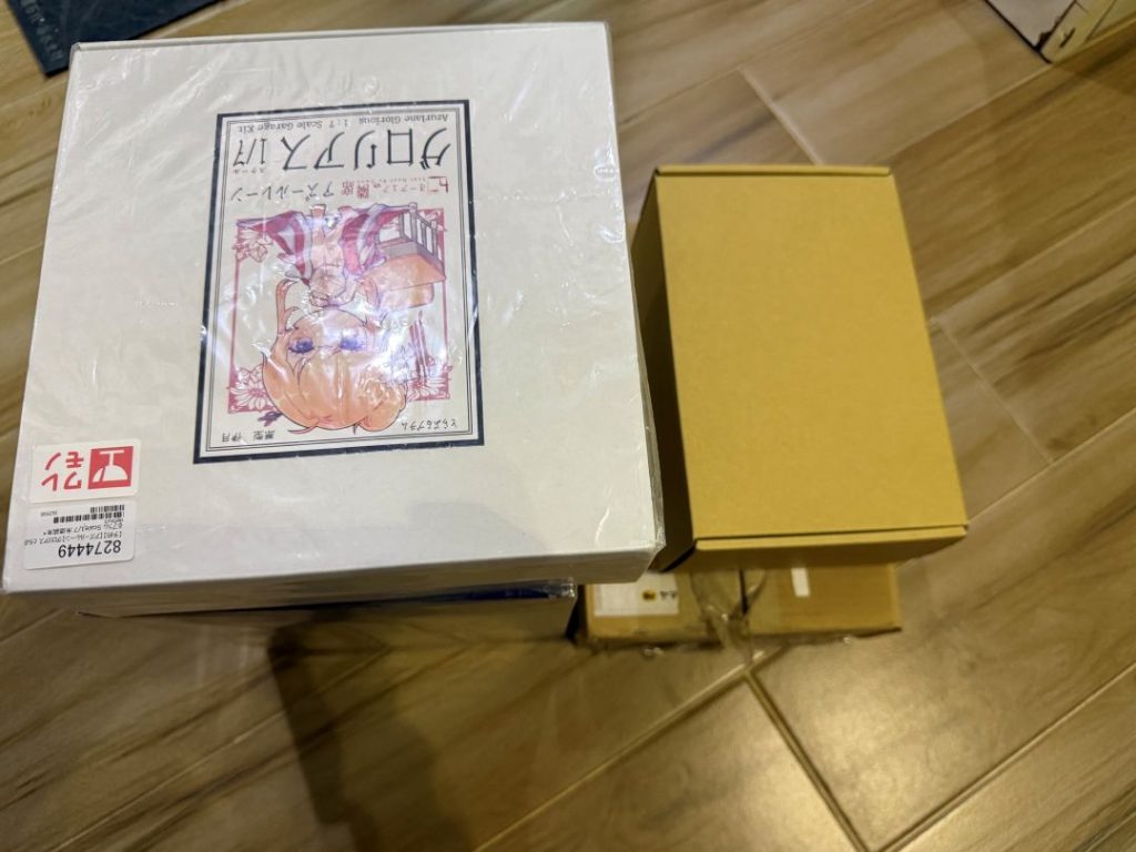 Shenzhen-HK Errand Log: Bringing 4 Anime Figures Across the Border for a Regular Client