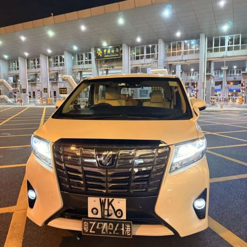 Shenzhen to Hong Kong Private Car: Moving a Family of 7 via 2 Alphards